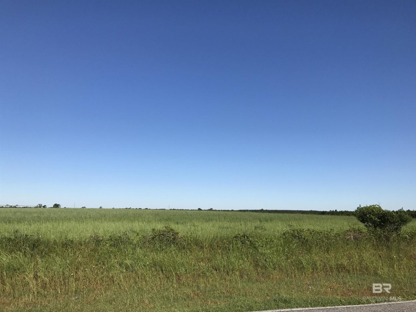 12.3 acres in Elberta, AL! This property is zone Rural AG which - Beach Acreage for sale in Elberta, Alabama on Beachhouse.com