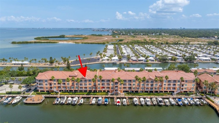 One or more photo(s) has been virtually staged. Immaculate and - Beach Condo for sale in Tampa, Florida on Beachhouse.com