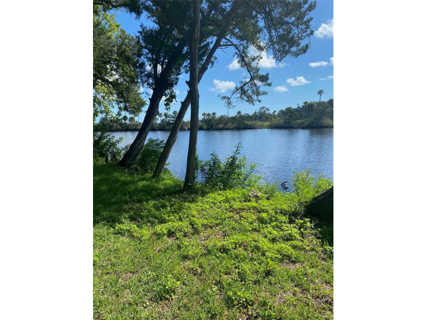 ***RIVERFRONT *** OVER 1+  ACRES ***ZONED B-4 -  140 feet of - Beach Commercial for sale in Ormond Beach, Florida on Beachhouse.com