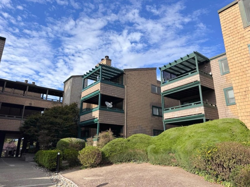 Live where city meets the beach in this sunny and bright - Beach Condo for sale in Santa Cruz, California on Beachhouse.com