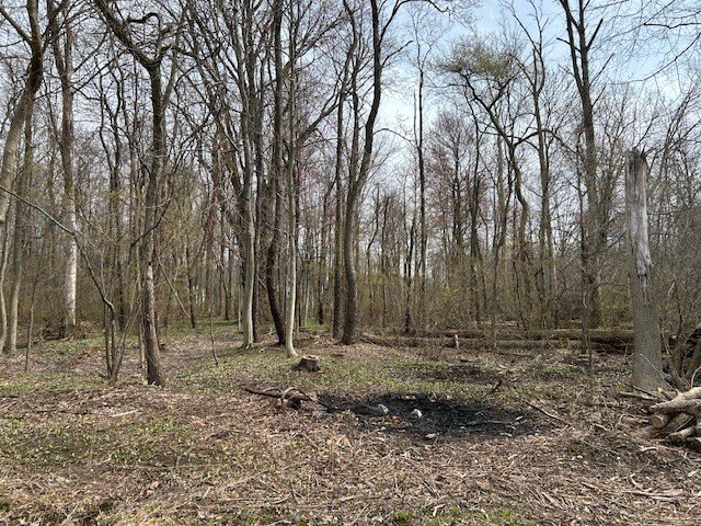 Choose from one, two, or three wooded building sites in the - Beach Lot for sale in Erie, Pennsylvania on Beachhouse.com