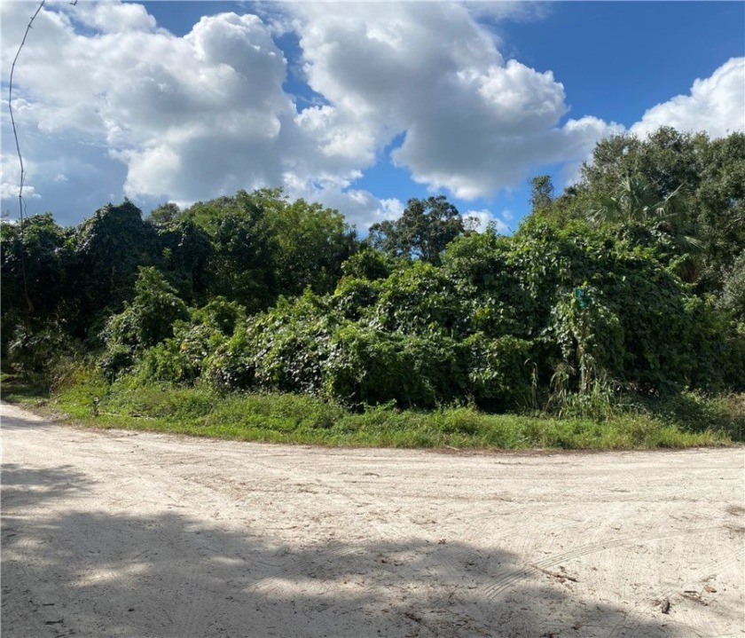 Vacant lot located at the end of the street.  This lot would - Beach Lot for sale in Vero Beach, Florida on Beachhouse.com