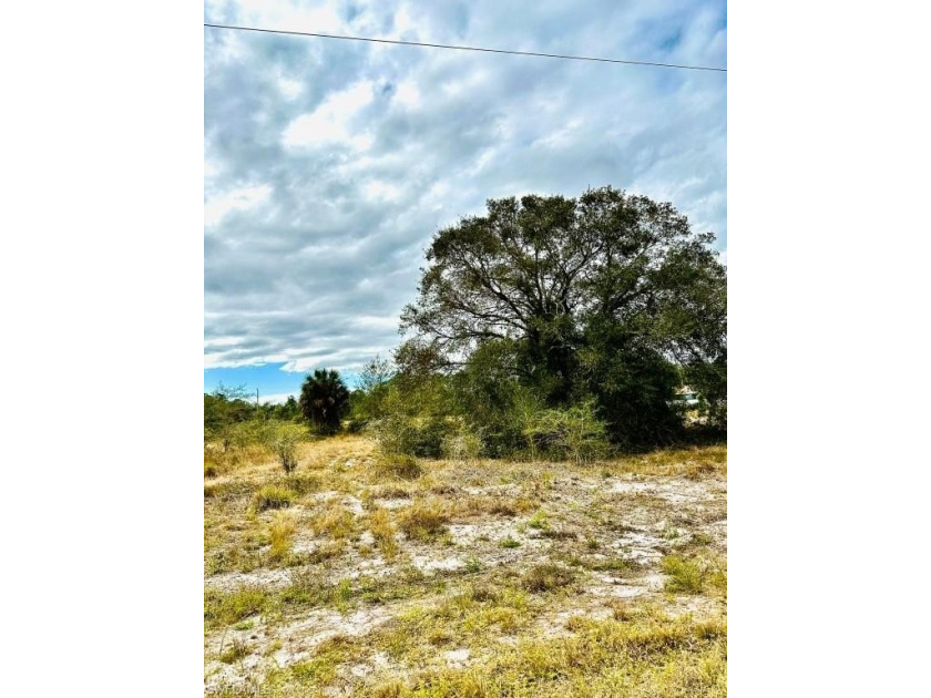 Beautiful due west rear/eastern front facing lot and backs to a - Beach Lot for sale in Lehigh Acres, Florida on Beachhouse.com