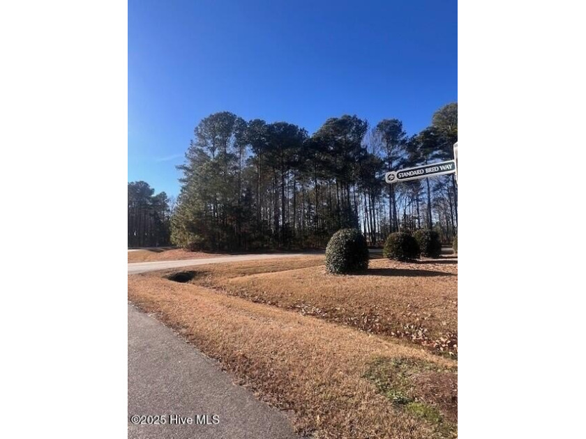 Wooded Lot in Albemarle Plantation with Resort-Style Amenities
 - Beach Lot for sale in Hertford, North Carolina on Beachhouse.com