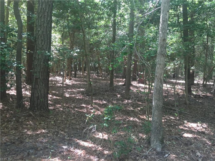 Wooded 0.47 acre building lot in beautiful Piankatank Shores.  A - Beach Lot for sale in Hartfield, Virginia on Beachhouse.com