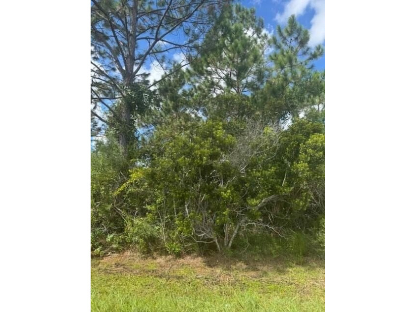 Whether you're looking to build your dream home or invest in - Beach Lot for sale in Palm Coast, Florida on Beachhouse.com