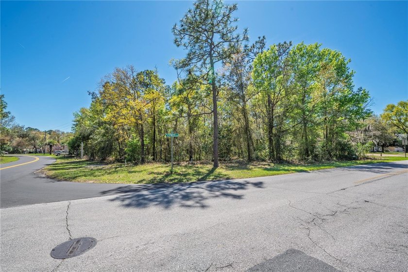 Under contract-accepting backup offers. Build your dream home in - Beach Lot for sale in Homosassa, Florida on Beachhouse.com