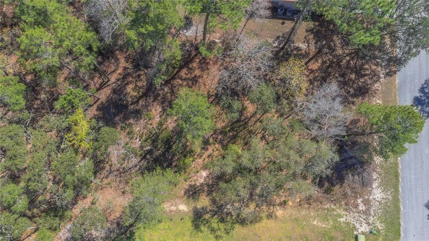 Under contract-accepting backup offers. Build your dream home in - Beach Lot for sale in Homosassa, Florida on Beachhouse.com