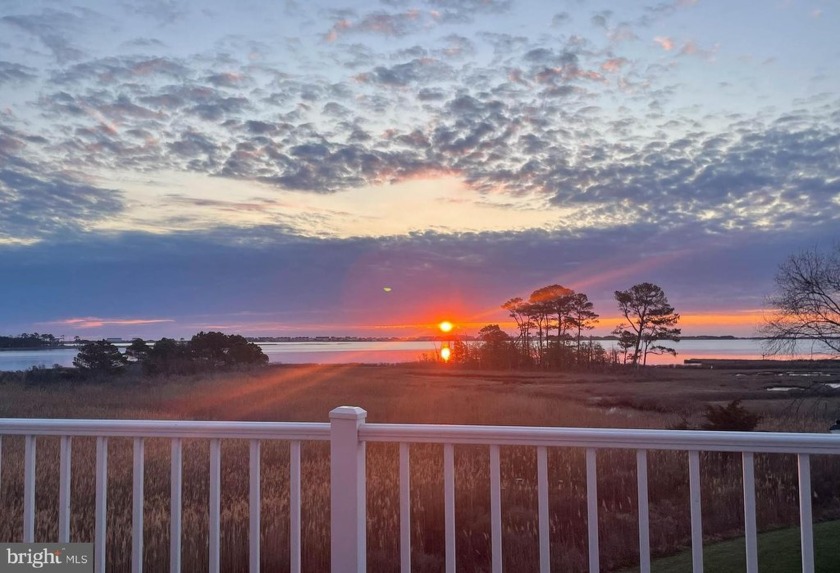 DIRECT VIEWS OF THE FENWICK ISLAND SKYLINE!  With breathtaking - Beach Condo for sale in Selbyville, Delaware on Beachhouse.com