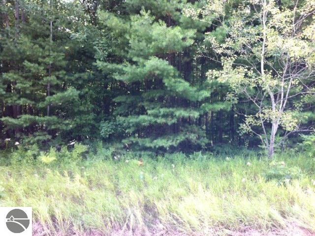 Potential building site with 100' fronting US-23.  This wooded - Beach Lot for sale in Au Gres, Michigan on Beachhouse.com
