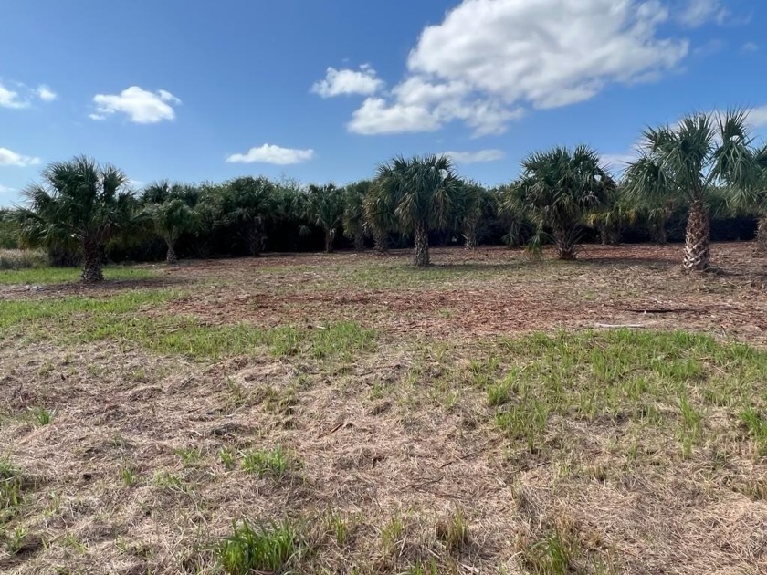 Vacant lot already cleared ready to build your dream home. Close - Beach Lot for sale in Palm Bay, Florida on Beachhouse.com