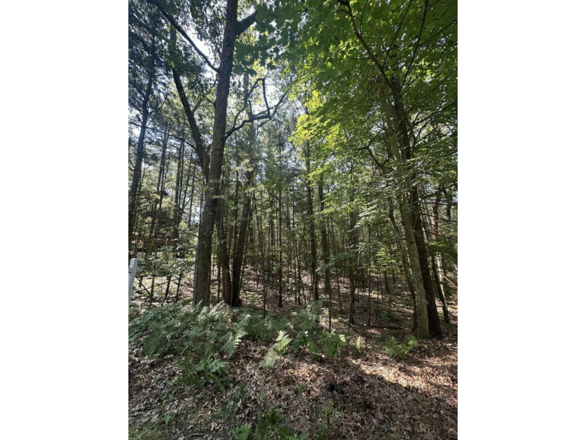 Beautiful wooded lot now available in the desirable Apache Hills - Beach Lot for sale in Pentwater, Michigan on Beachhouse.com