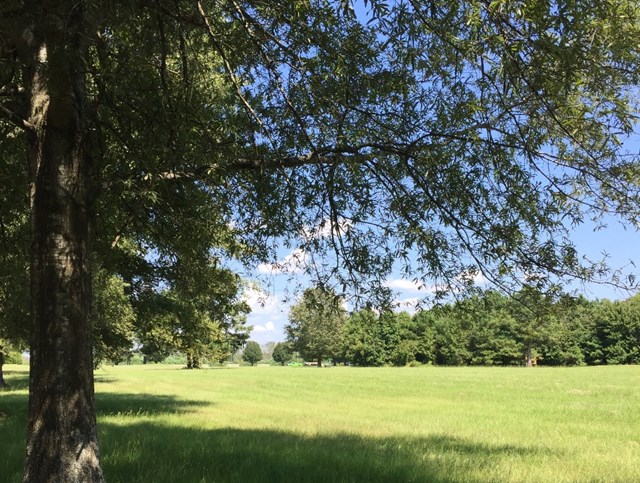 This .65 acre golf course lot is in Mulberry Hill Plantation, a - Beach Lot for sale in Edenton, North Carolina on Beachhouse.com