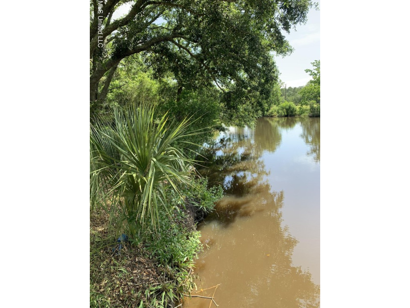 1000 feet to the river! Newer Homes all arounde build your dream - Beach Lot for sale in Bay Saint Louis, Mississippi on Beachhouse.com