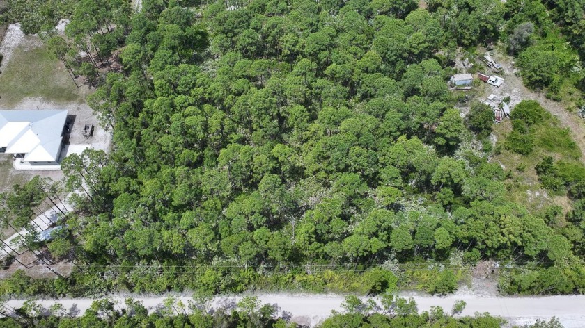 Discover the perfect place to build your dream home on this - Beach Lot for sale in Fort Pierce, Florida on Beachhouse.com