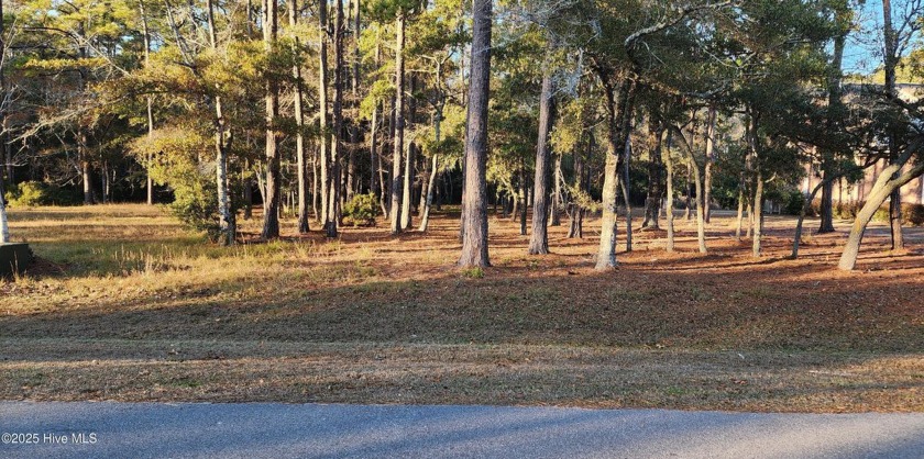 2 ADJACENT LOTS BEING SOLD TOGETHER!! Build your dream home near - Beach Lot for sale in Supply, North Carolina on Beachhouse.com