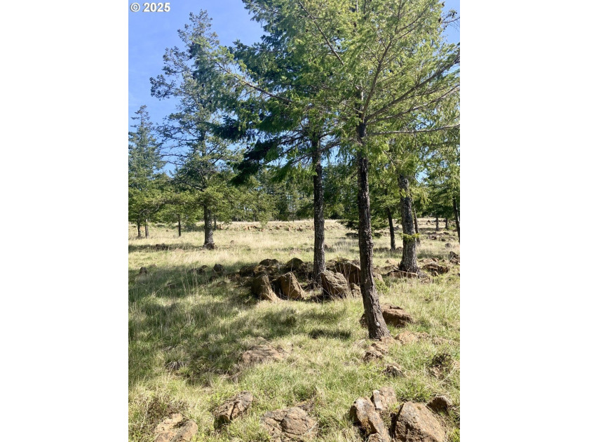 Sunrises, Sunsets and Views of Mountains above Gold Beach. Peek - Beach Lot for sale in Gold Beach, Oregon on Beachhouse.com