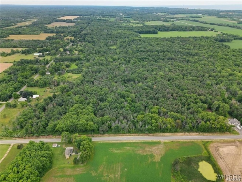 10 Acres of retired farm-turned-wooded lot in Northern Niagara - Beach Acreage for sale in Somerset, New York on Beachhouse.com