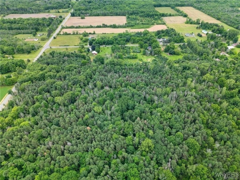 This retired farm-turned-wooded lot in Northern Niagara County - Beach Acreage for sale in Somerset, New York on Beachhouse.com