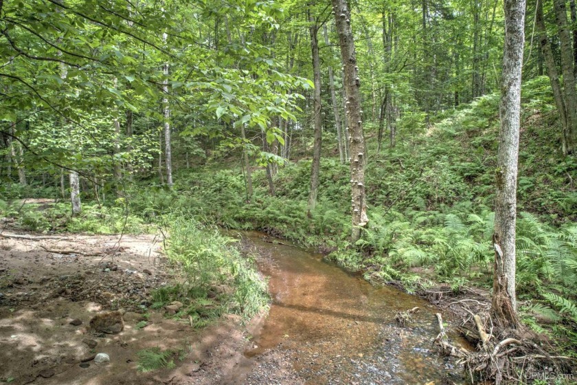 Welcome to your own private wilderness retreat! This exceptional - Beach Acreage for sale in L Anse, Michigan on Beachhouse.com