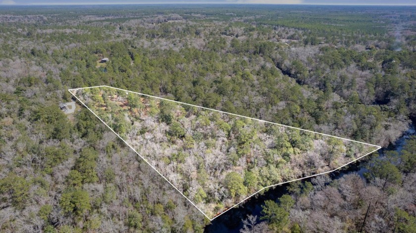 Discover your private paradise on this gorgeous , riverfront - Beach Acreage for sale in Sopchoppy, Florida on Beachhouse.com