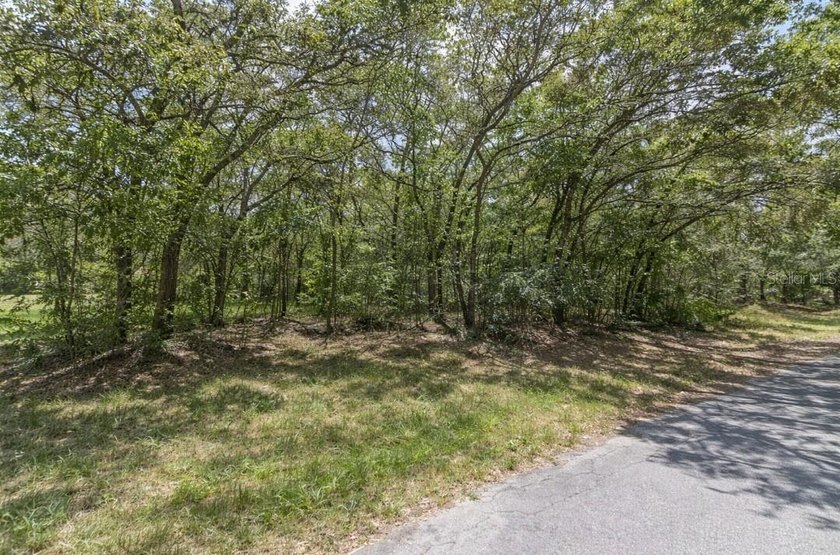 If you've been looking for a solid piece of land in Sugarmill - Beach Lot for sale in Homosassa, Florida on Beachhouse.com