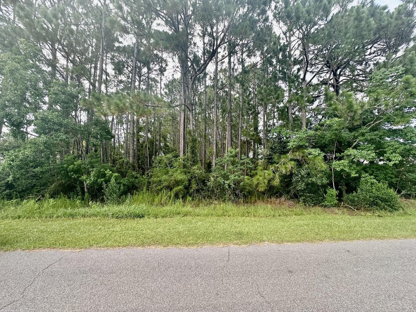 Location! Location! - Last Lot available on Brinkley St.-Come be - Beach Lot for sale in Navarre, Florida on Beachhouse.com