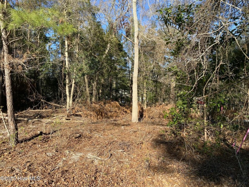 If you've been looking great homesight to build on check out - Beach Lot for sale in Supply, North Carolina on Beachhouse.com