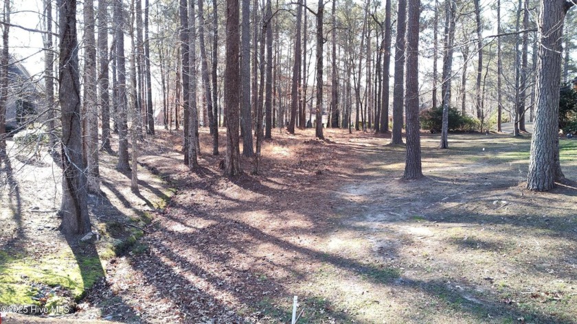 Don't miss out! One of the few remaining buildable golf course - Beach Lot for sale in Chocowinity, North Carolina on Beachhouse.com