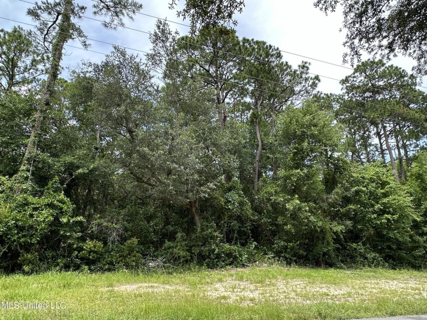 Residential Corner .39 acre Lot with the majority of the it in a - Beach Lot for sale in Ocean Springs, Mississippi on Beachhouse.com