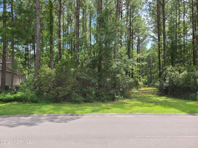 Great Opportunity in the Hamptons area of Brunswick Plantation - Beach Lot for sale in Calabash, North Carolina on Beachhouse.com