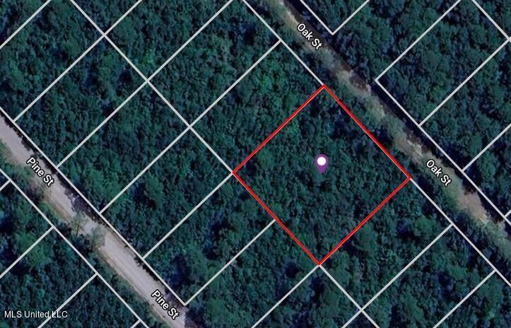 No flood zone! Build your dream home on this double lot in Ocean - Beach Lot for sale in Ocean Springs, Mississippi on Beachhouse.com