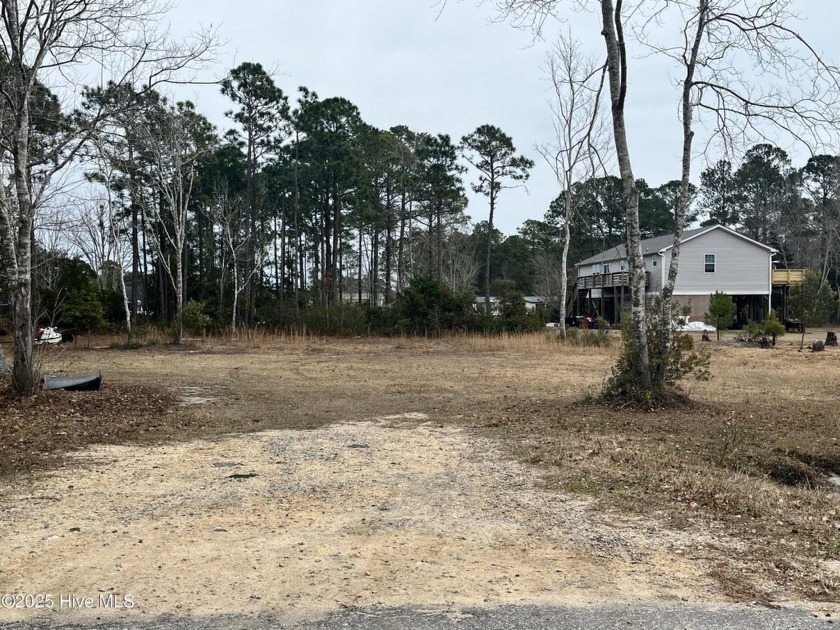 If you're looking for a level lot to build a permanent home or - Beach Lot for sale in Southport, North Carolina on Beachhouse.com