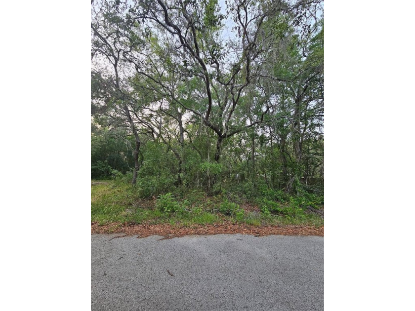 Welcome to your vacant land open canvas property at Moon Lake - Beach Lot for sale in New Port Richey, Florida on Beachhouse.com
