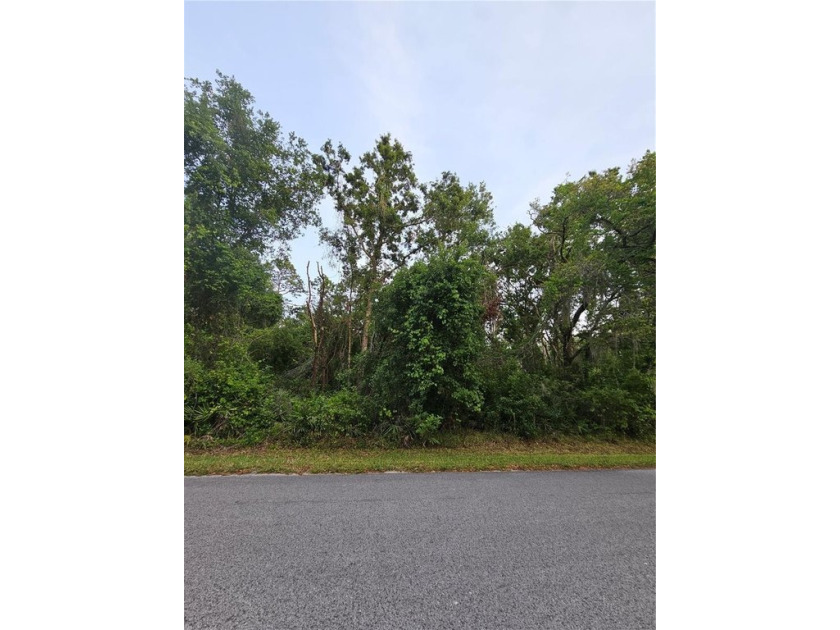 Welcome to your vacant land open canvas property at Moon Lake - Beach Lot for sale in New Port Richey, Florida on Beachhouse.com