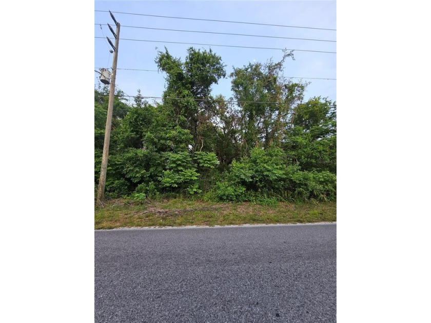 Welcome to your vacant land open canvas property at Moon Lake - Beach Lot for sale in New Port Richey, Florida on Beachhouse.com