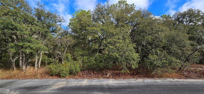 A 1.6-acre residential lot is full of potential, offering - Beach Lot for sale in Homosassa, Florida on Beachhouse.com