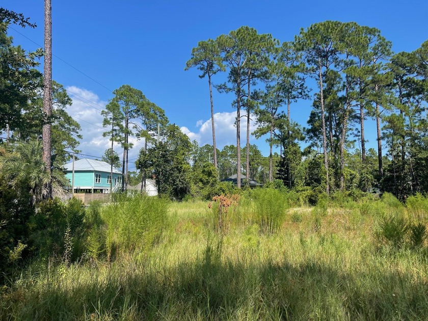 4 lots on 1st Steet. Lots have been cleared and there is 1 water - Beach Lot for sale in Santa Rosa Beach, Florida on Beachhouse.com