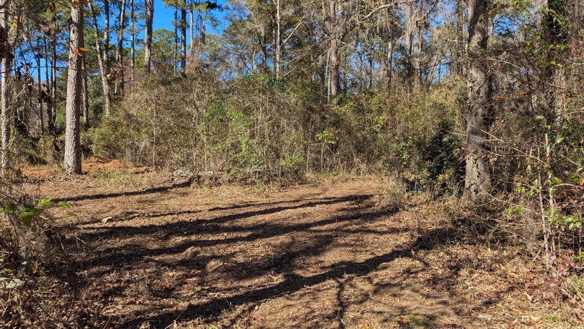 Beautiful 2.23-Acre Residential Lot on Tallahassee's NE Side - Beach Acreage for sale in Tallahassee, Florida on Beachhouse.com