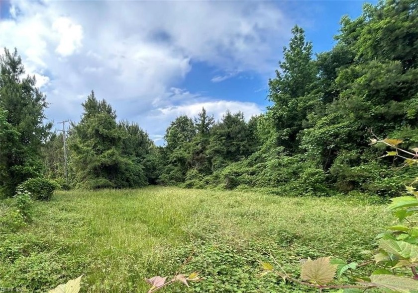 Stunning property with mature trees and a lake. Pole barn as is - Beach Acreage for sale in Chesapeake, Virginia on Beachhouse.com