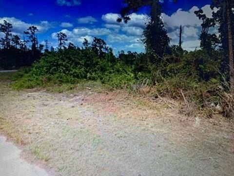 It is time to build your dream home! Lehigh Acres is turning - Beach Lot for sale in Lehigh Acres, Florida on Beachhouse.com