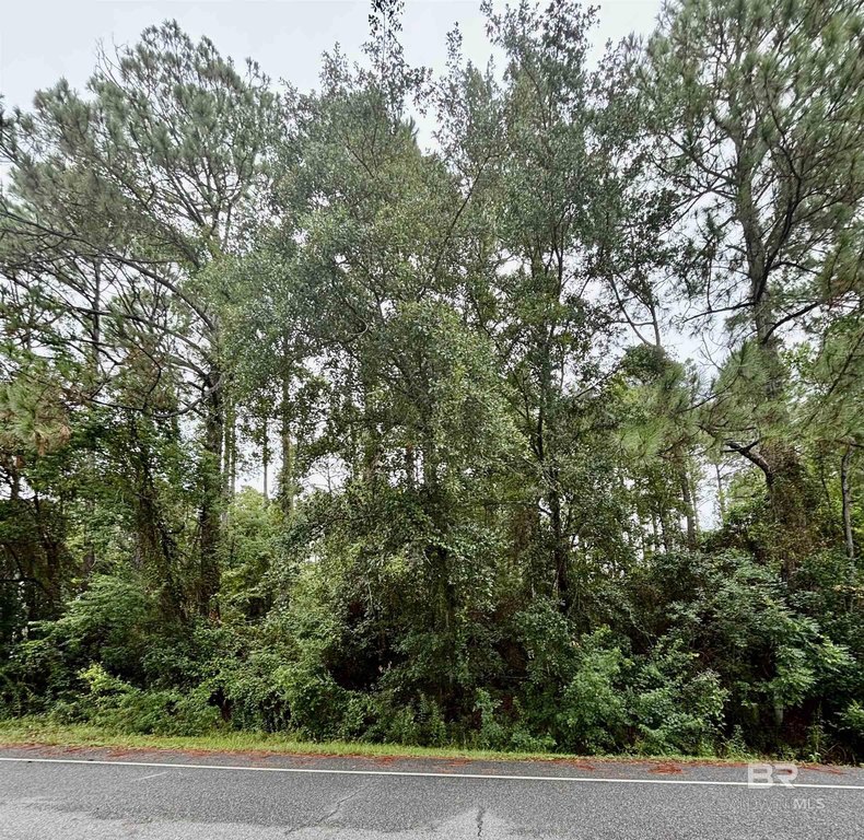 Wooded Lot-.49 acre in Gulf Shores, minutes from Beach & - Beach Lot for sale in Gulf Shores, Alabama on Beachhouse.com