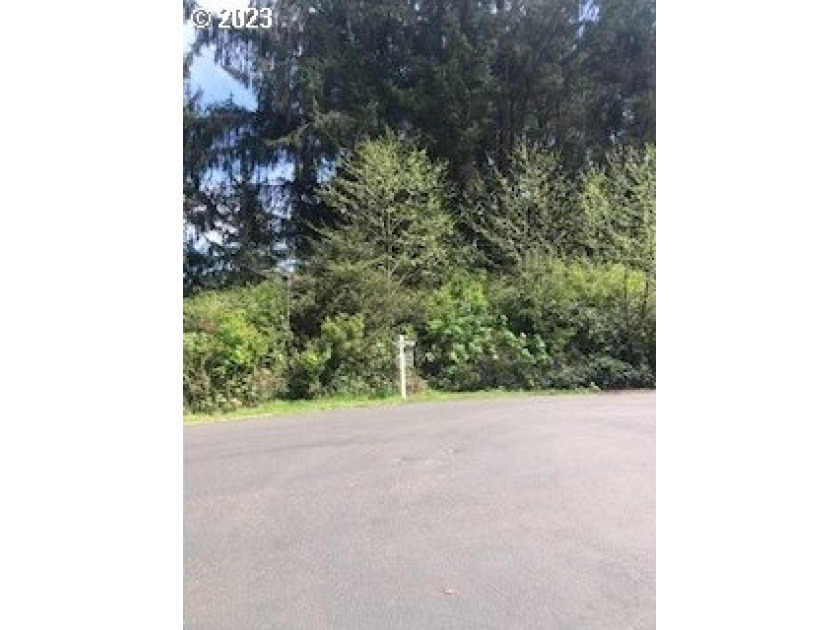 One of the best remaining lots in Nehalem Point! Walk to the Bay - Beach Lot for sale in Nehalem, Oregon on Beachhouse.com