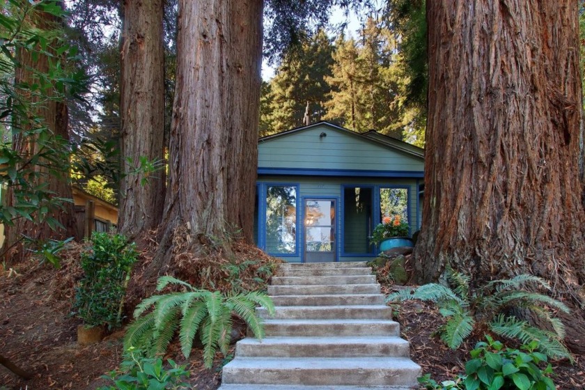 Nestled among majestic Redwood Trees in the coveted Gold Gulch - Beach Home for sale in Felton, California on Beachhouse.com