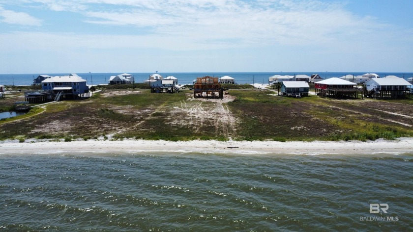 Rental Projections up to $220,000 per year. Estimated completion - Beach Home for sale in Dauphin Island, Alabama on Beachhouse.com