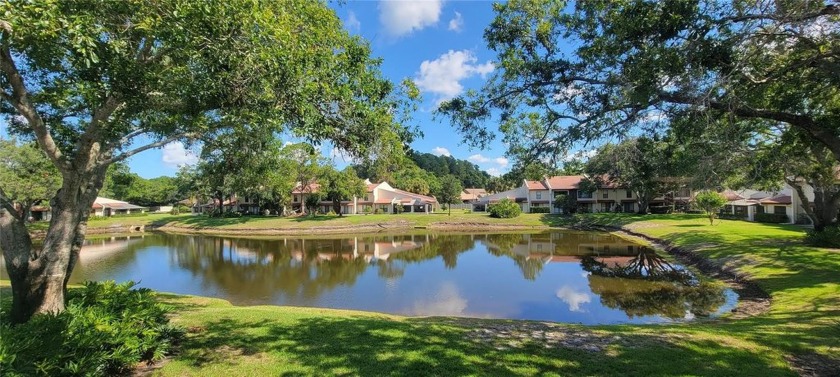 Pond View, spacious second floor furnished 2 bedroom, 2 bath - Beach Condo for sale in Palm Harbor, Florida on Beachhouse.com