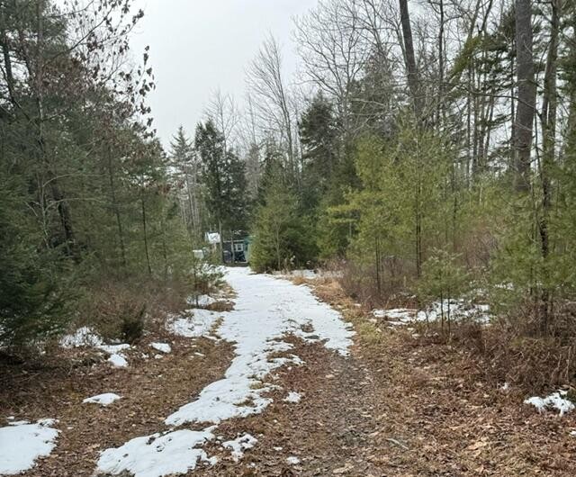 This private, wooded lot, nestled away in the heart of - Beach Acreage for sale in Scarborough, Maine on Beachhouse.com