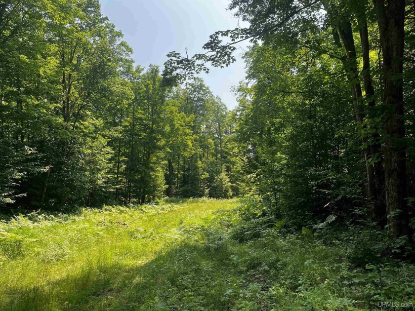 10 acres of beautiful upland mixed hardwoods located just 16 - Beach Acreage for sale in Big Bay, Michigan on Beachhouse.com