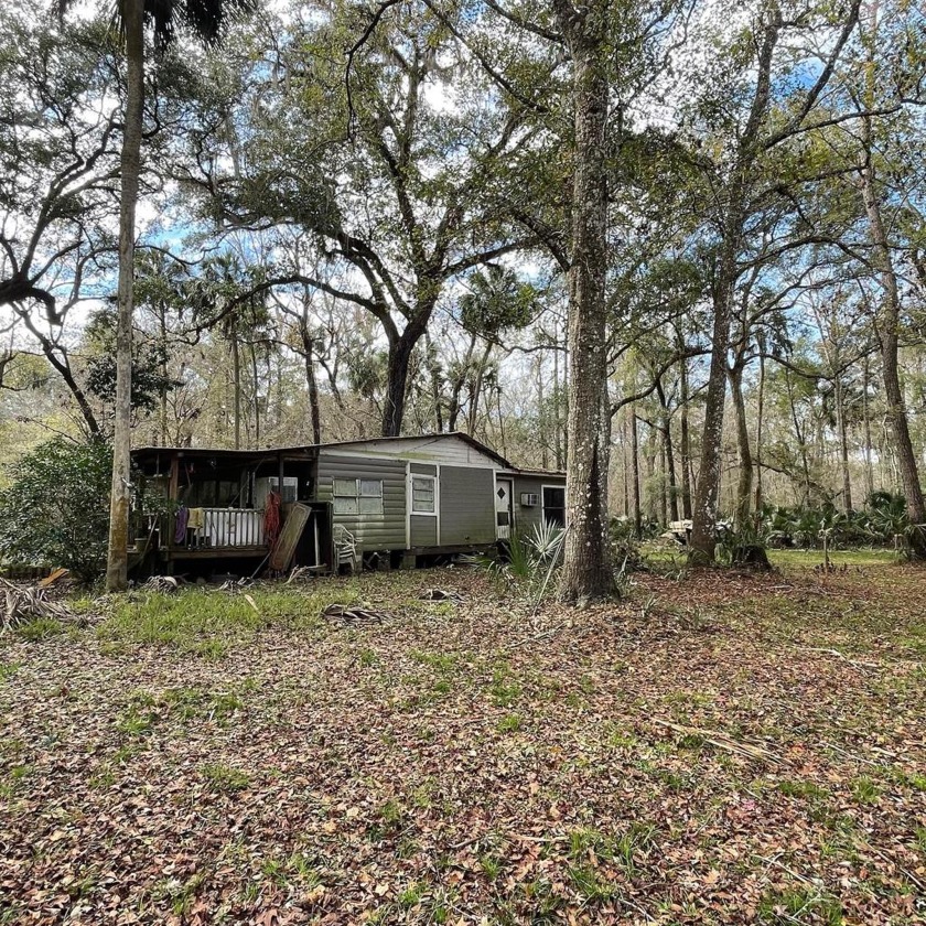 Gorgeous water front property on the upper Steinhatchee river! - Beach Lot for sale in Steinhatchee, Florida on Beachhouse.com