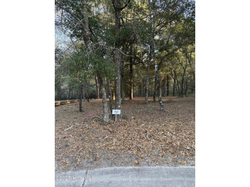 This lovely .56 acre lot is bordered by a community boardwalk - Beach Lot for sale in Supply, North Carolina on Beachhouse.com